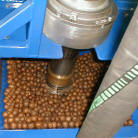 conveying macadamia nuts